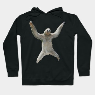 Sloth life Hoodie